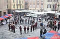 VBS_6512 - Fiera dei Santi - 12.ma Fiera Nazionale del Tartufo
